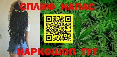 МДПВ Гулькевичи