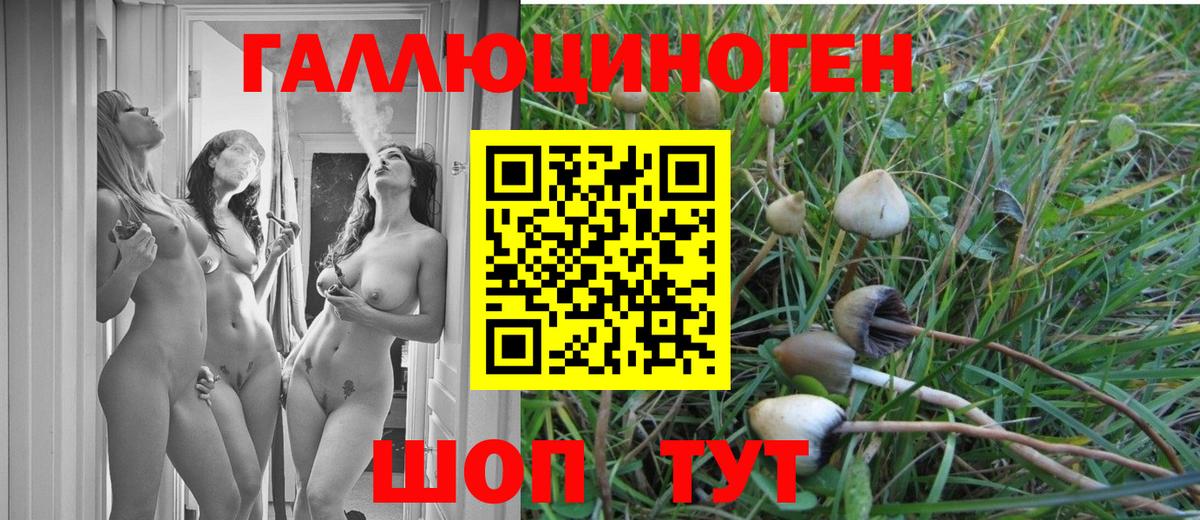 Гуково  Псилоцибиновые грибы Cubensis  Вход с VPN 